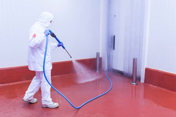 Best Heavy Equipment Washing  in Panama City, FL
