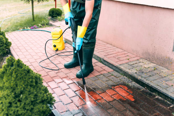 Best Driveway Pressure Washing  in Panama City, FL