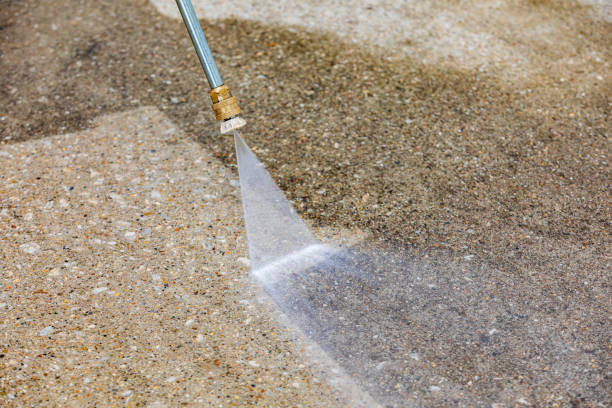 Best Sidewalk and Walkway Cleaning  in Panama City, FL